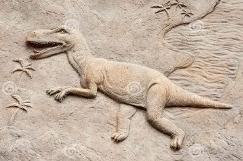 2019_10 10 t relief