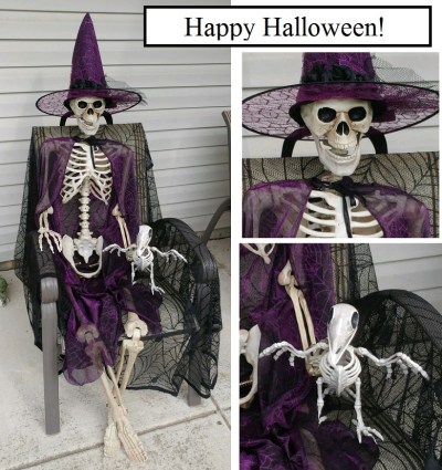 2019_10 31 Buzz skeletons