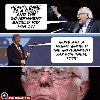 2020 Bernie guns