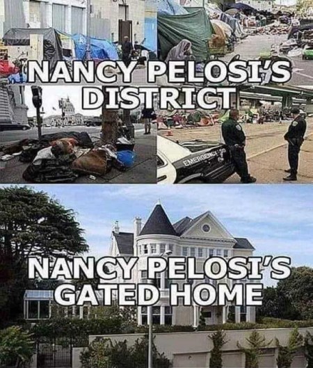 2020 Pelosi hypocrisy