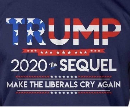 2020 Trump the sequel