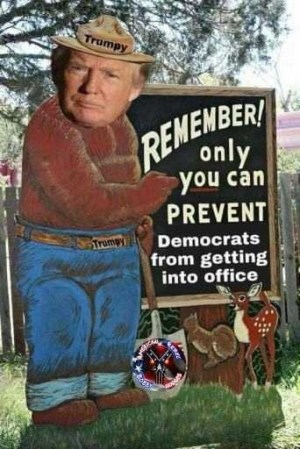 2019_11 07 TRUMPY bear