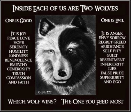 2019_11 07 Two Wolves