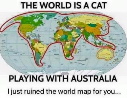 2019_11 16 cat world