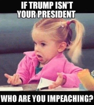 2019_11 22 impeaching who