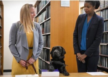 2019_11 23 support dog