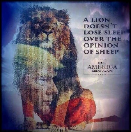 2020 TRUMP lion sheep