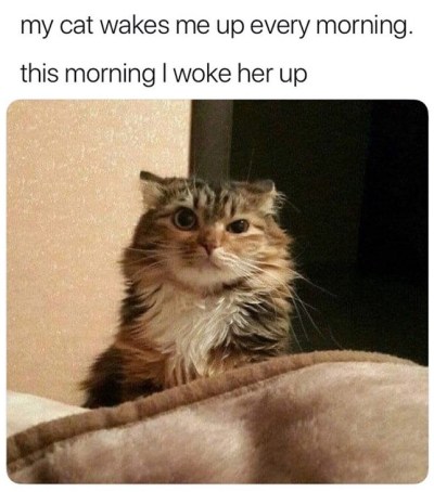 CAT wake up