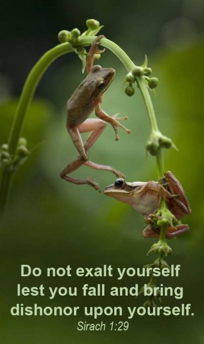 2019_12 09 Do not exalt yourself