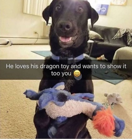 2019_12 17 DOG loves toy