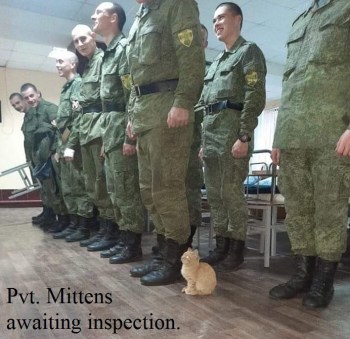 2019_12 17 private mittens