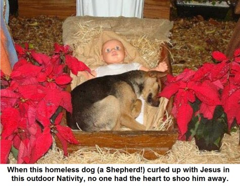 2019_12 23 DOG nativity