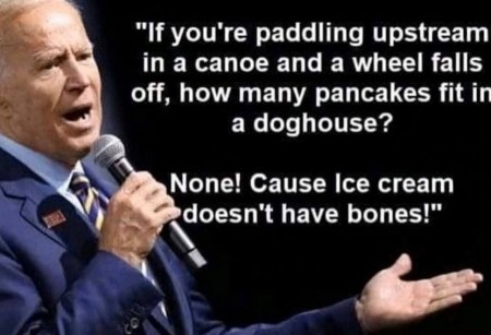 2020 BIDEN nonsense