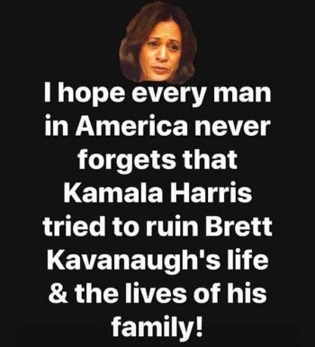 2020 Kamala Kavanaugh