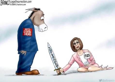 2020 Red State Dems by Branco.jpg