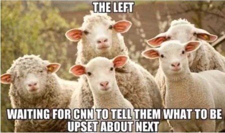 2020 CNN sheeple