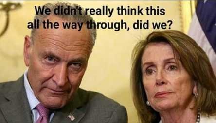 2020 impeach pelosi schumer didn't think
