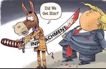 2020 impeachment toon
