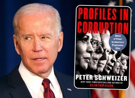 2020 profiles in corruption
