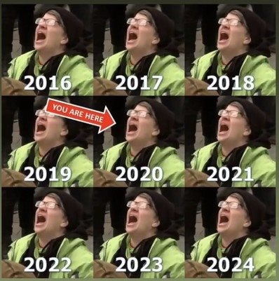 2020 screaming liberal