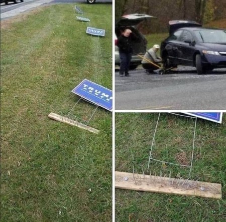 2020 Trump signs