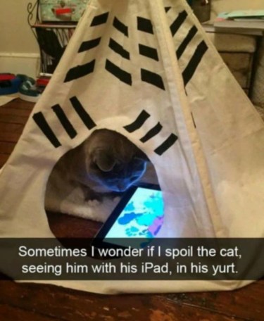 2020_01 02 Cat spoiled