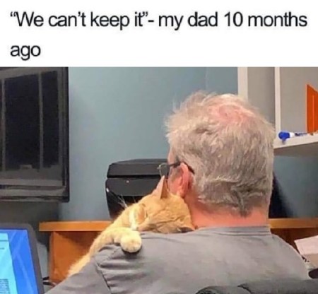 2020_01 12 CAT can't keep