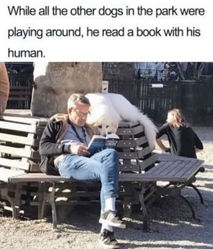 2020_01 17 BOOKS dog