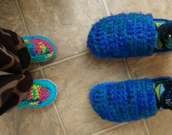 2020_01 17 slippers