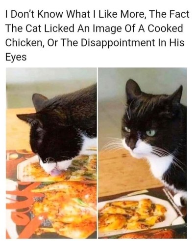 2020_01 25 CAT disappointed