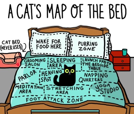 2020_01 25 CAT map of bed