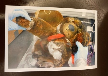 2020_01 25 teddy bear