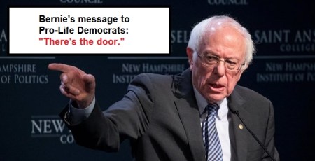 2020 Bernie to pro-life Dems