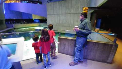 2020_01 30 Kids w Nonno Aquarium