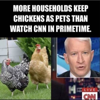 2020_02 05 CNN chickens