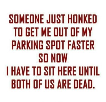 2020_02 20 Someone honked