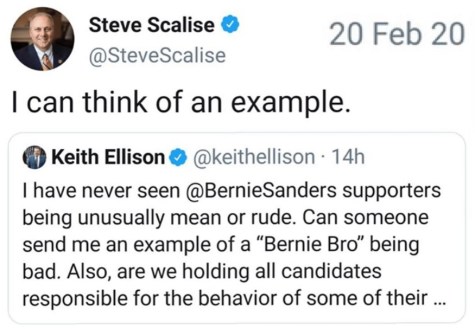 2020 Bernie Bro