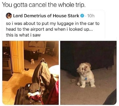 2020_03 06 DOG cancel trip