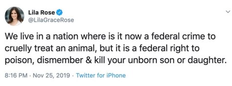 2020_03 07 cruelty to animals