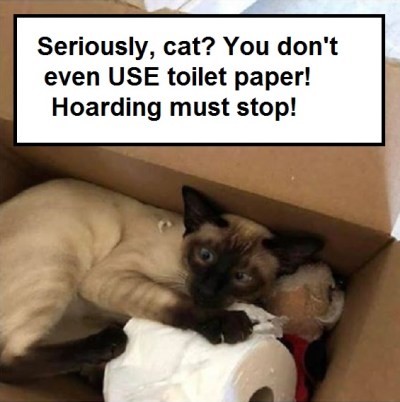 2020_03 15 cat hoarding