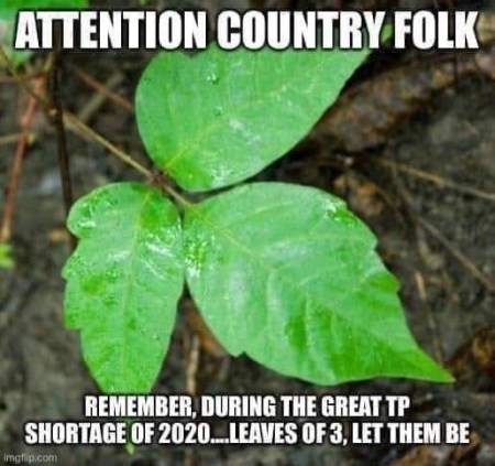 2020_03 17 tp poison ivy