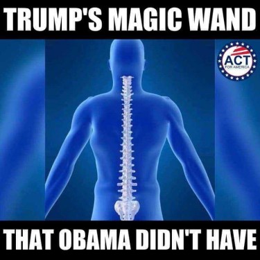 2020_03 17 Trump's spine