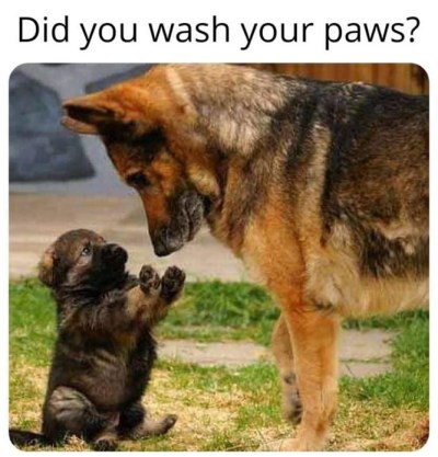 2020_03 18 wash paws
