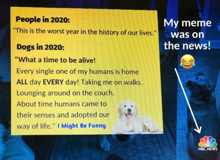 2020_03 25 might be funny