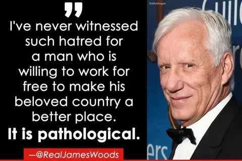 2020_03 30 James Woods pathological