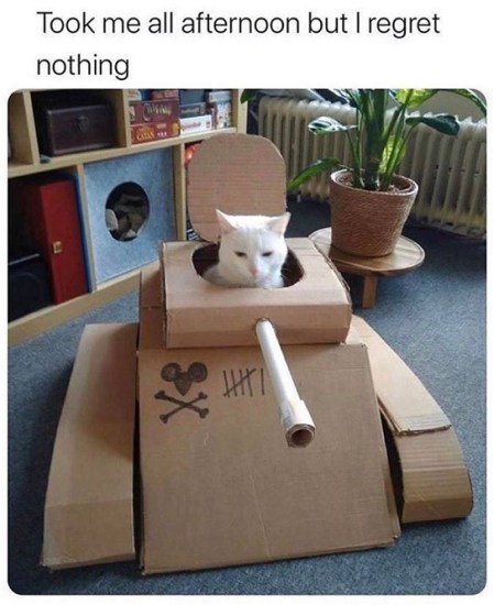 2020_04 02 cat tank