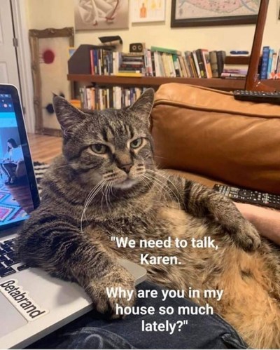 2020_04 03 CAT we need to talk