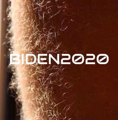 2020_04 09 biden leg