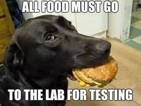 2020_04 13 DOG food to lab