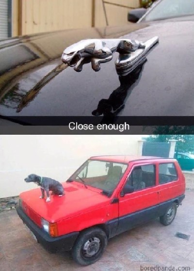 2020_04 26 dog car close enough